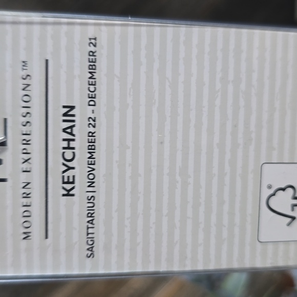 ZODIAC HOROSCOPO KEY 🔑 CHAIN - Picture 4 of 4